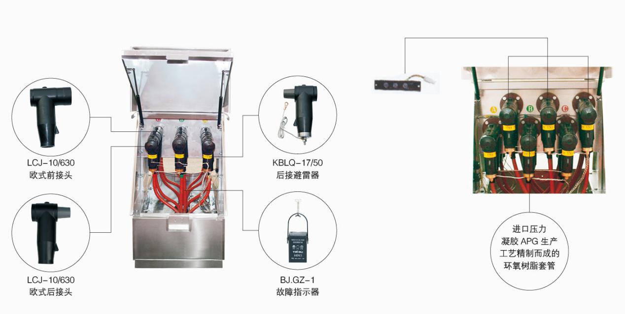 DFW-12KV歐式電纜分支箱示意圖1